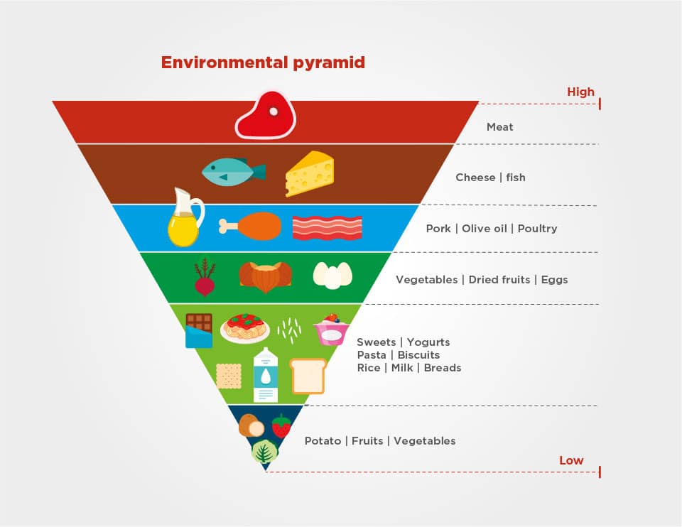 Ilustração Environmental pyramid